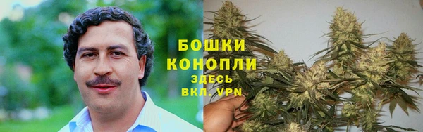 apvp Володарск