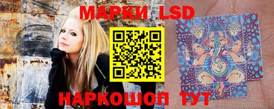 прущие грибы Волжск
