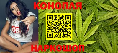 прущие грибы Волжск