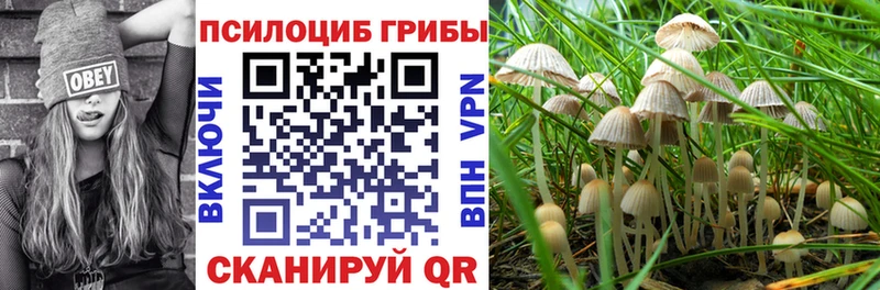 Псилоцибиновые грибы ЛСД  Гагарин 